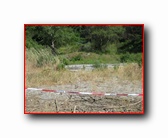 [Click to enlarge]